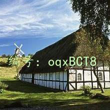 ó